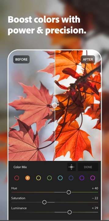 Color tone adjustment becomes more powerful and precise in Lightroom MOD APK